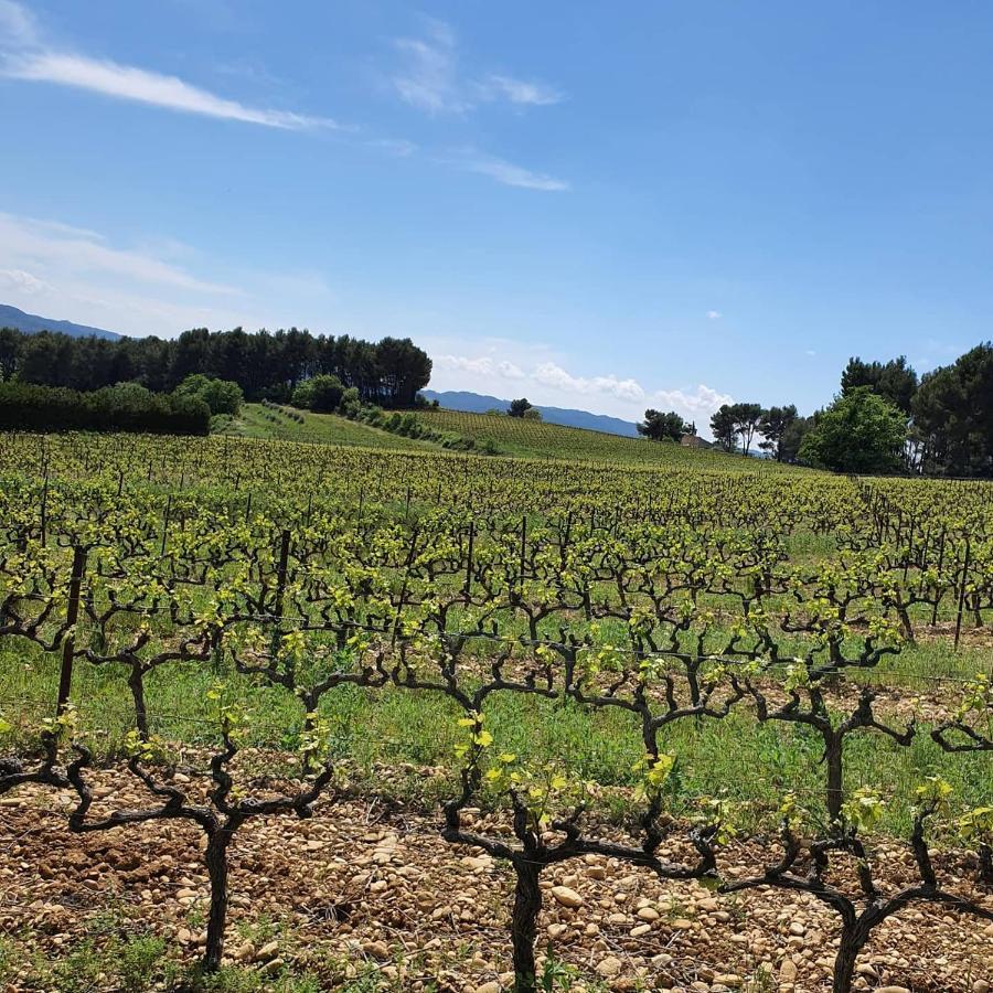Bastide Bellugue Maison D'Hotes Reseau Bienvenue A La Ferme A 3 Minutes De Lourmarin Cadenet Kültér fotó