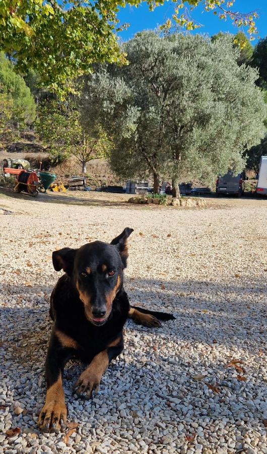 Bastide Bellugue Maison D'Hotes Reseau Bienvenue A La Ferme A 3 Minutes De Lourmarin Cadenet Kültér fotó