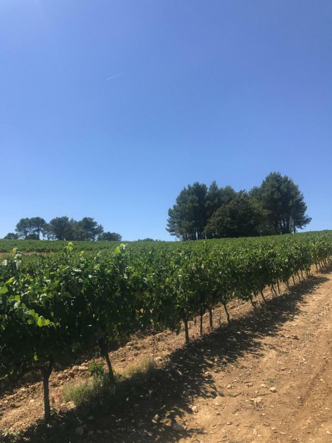 Bastide Bellugue Maison D'Hotes Reseau Bienvenue A La Ferme A 3 Minutes De Lourmarin Cadenet Kültér fotó