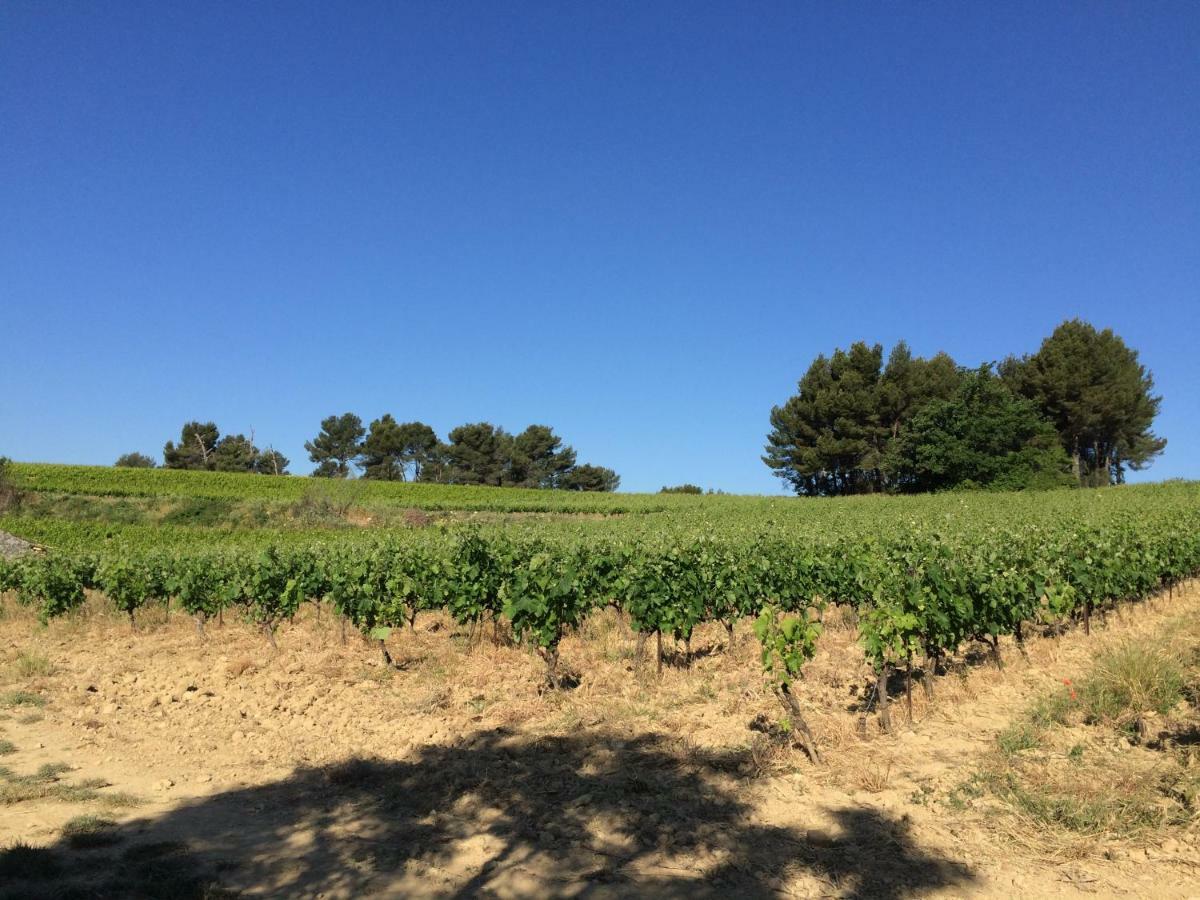 Bastide Bellugue Maison D'Hotes Reseau Bienvenue A La Ferme A 3 Minutes De Lourmarin Cadenet Kültér fotó