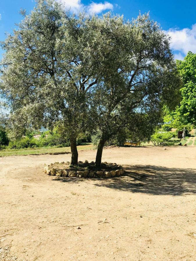 Bastide Bellugue Maison D'Hotes Reseau Bienvenue A La Ferme A 3 Minutes De Lourmarin Cadenet Kültér fotó